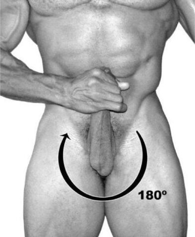 exercise hood for penis enlargement